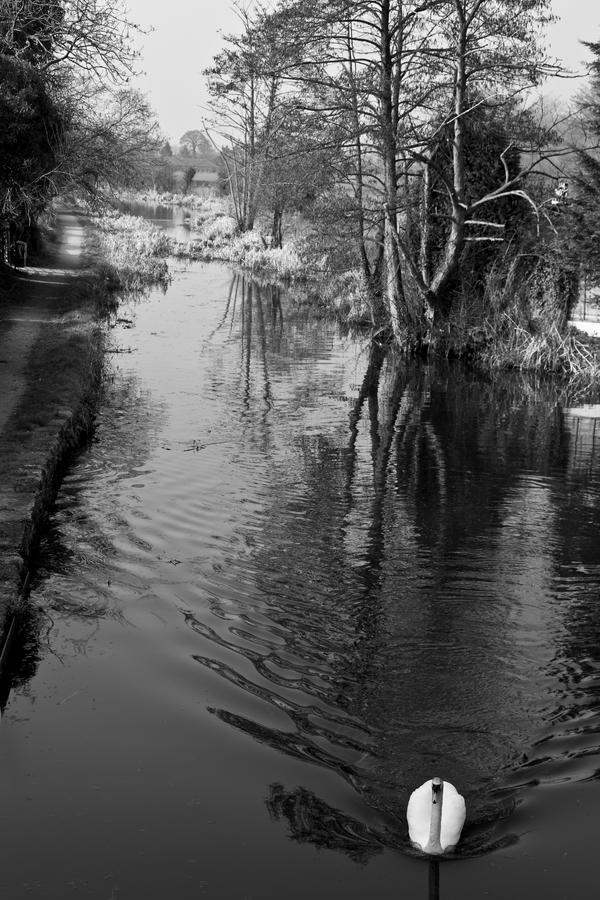 The Cross Keys Hotel Llanymynech Экстерьер фото